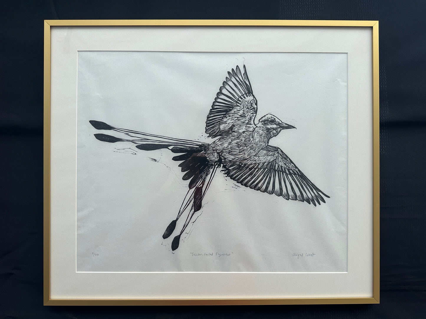 Scissor-tailed Flycatcher Linocut Print