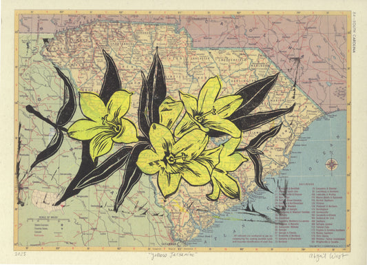 South Carolina State Flower - Yellow Jessamine, on vintage map