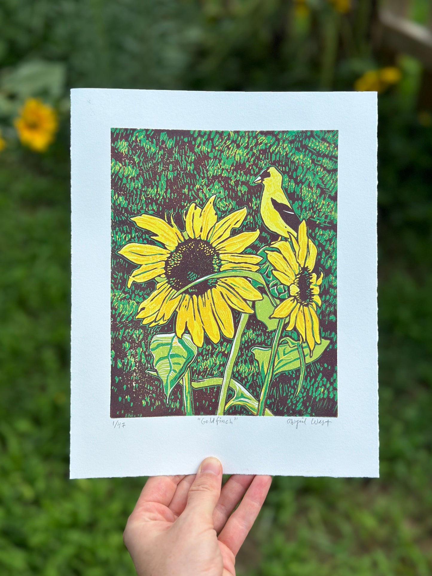 Goldfinch on Sunflower - Linocut Reduction Print