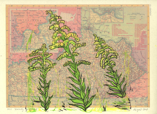 Kentucky State Flower - Goldenrod, on vintage map