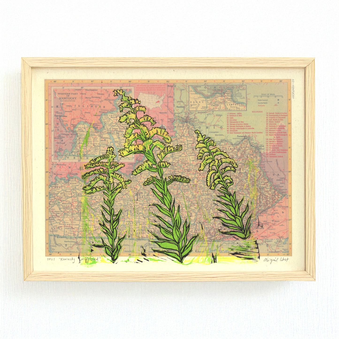 Kentucky State Flower - Goldenrod, on vintage map