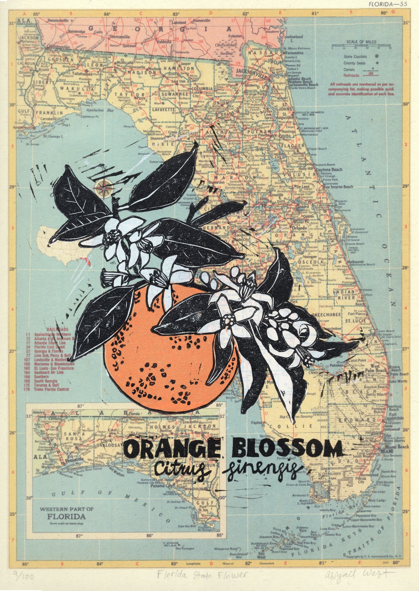 Florida State Flower: Orange Blossom linocut on vintage Florida railroad map