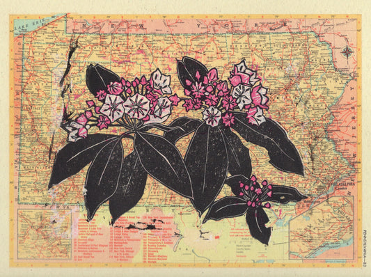 Pennsylvania State Flower (Mountain Laurel) Linocut on Vintage Map