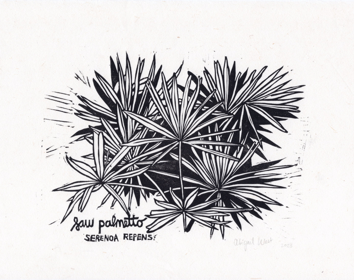 Saw Palmetto Linocut Print