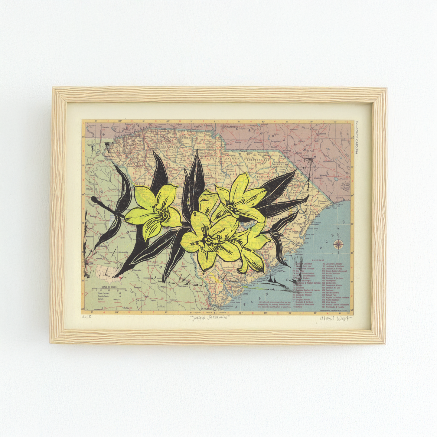 South Carolina State Flower - Yellow Jessamine, on vintage map
