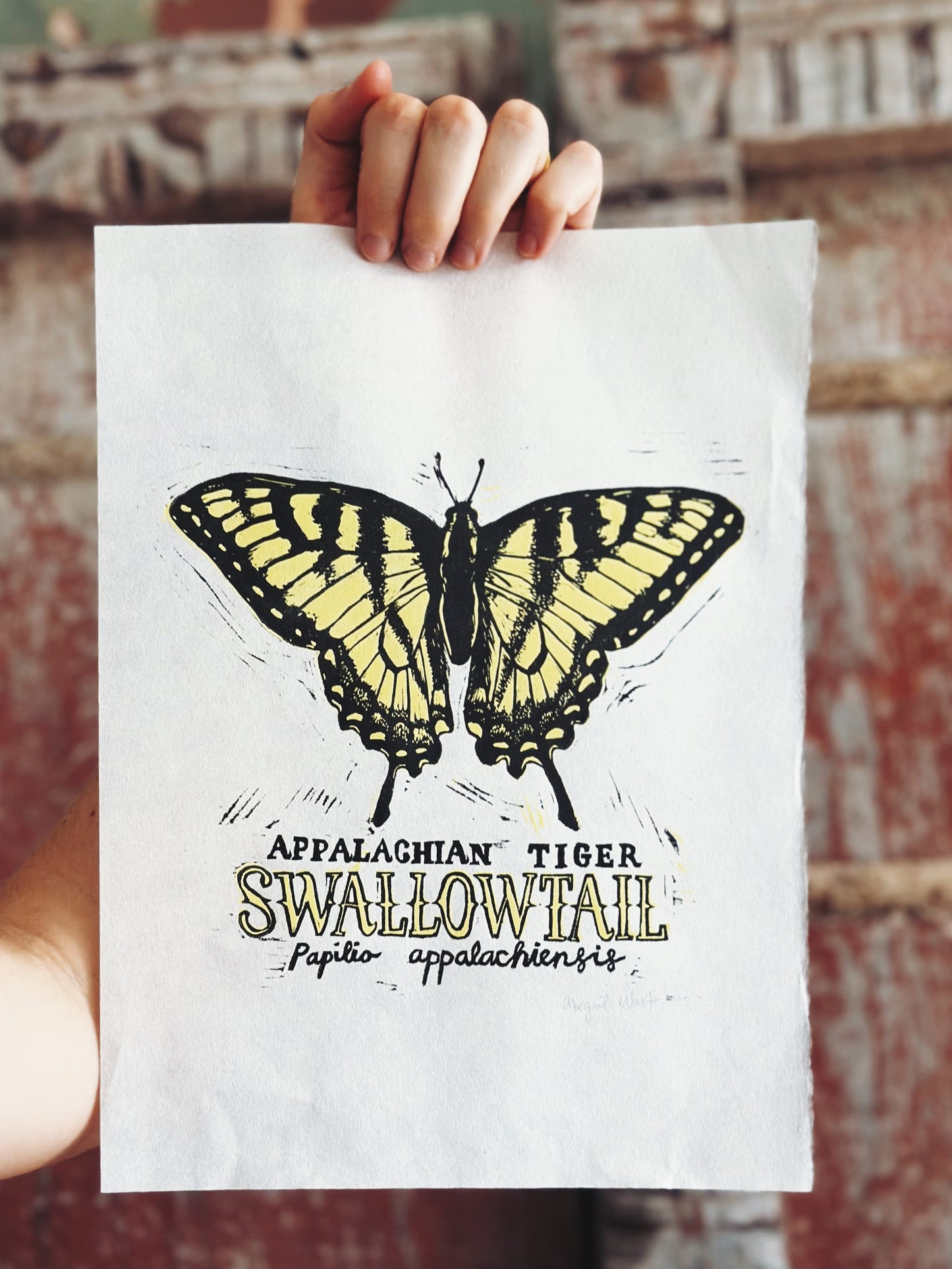 Swallowtail Butterfly Linocut Print