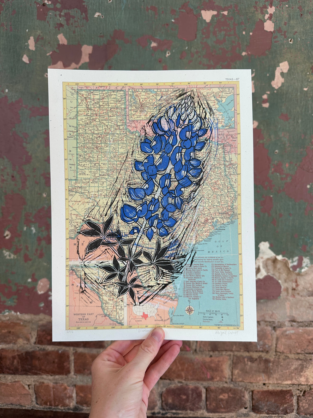Texas State Flower - Bluebonnet, on vintage map