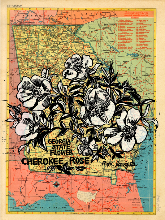 Georgia State Flower - Cherokee Rose Block Print on Map