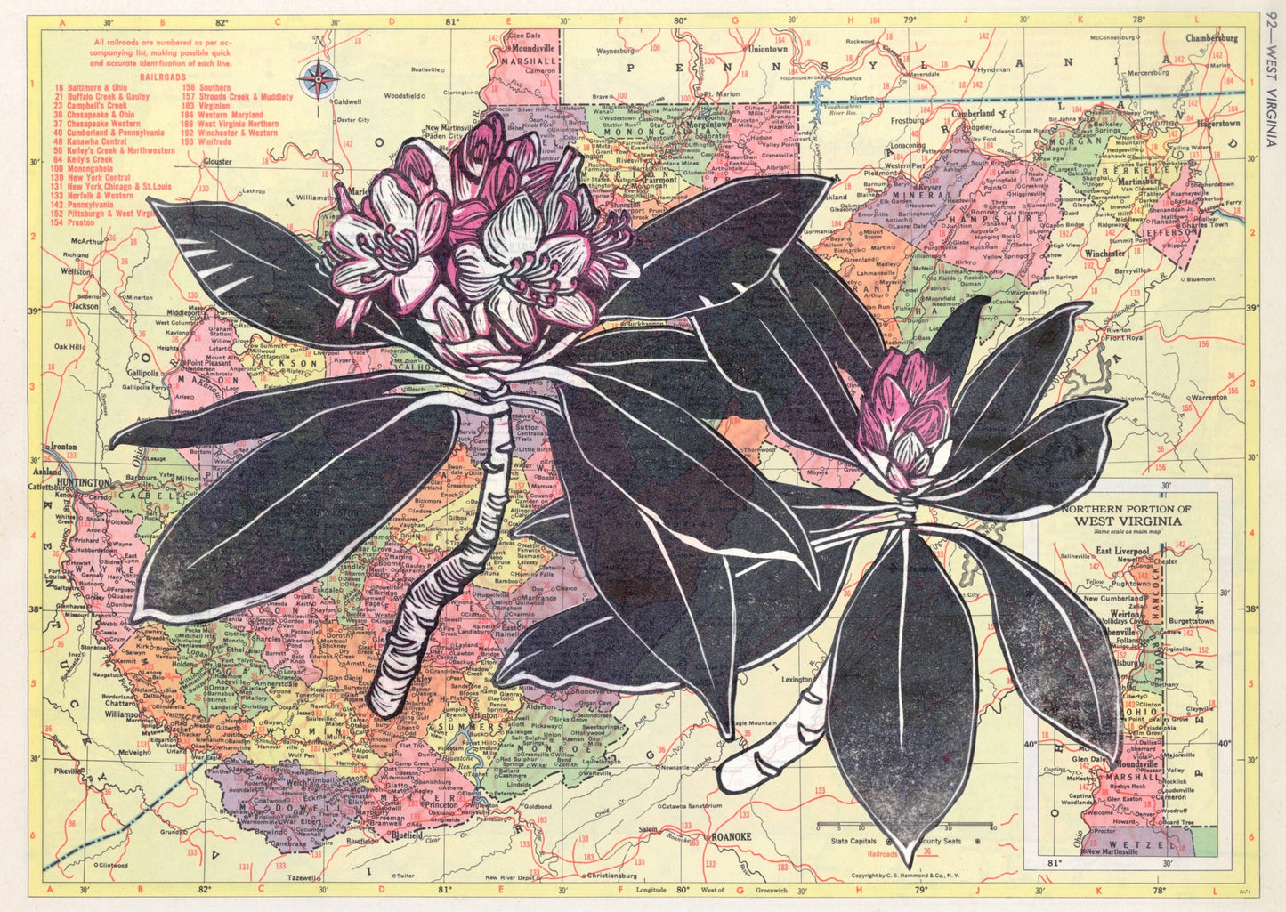 West Virginia State Flower - Rhododendron block print on state Map