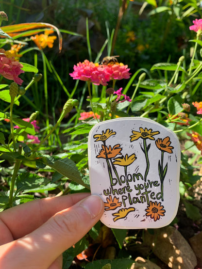 Sticker - Bloom Where You're Planted