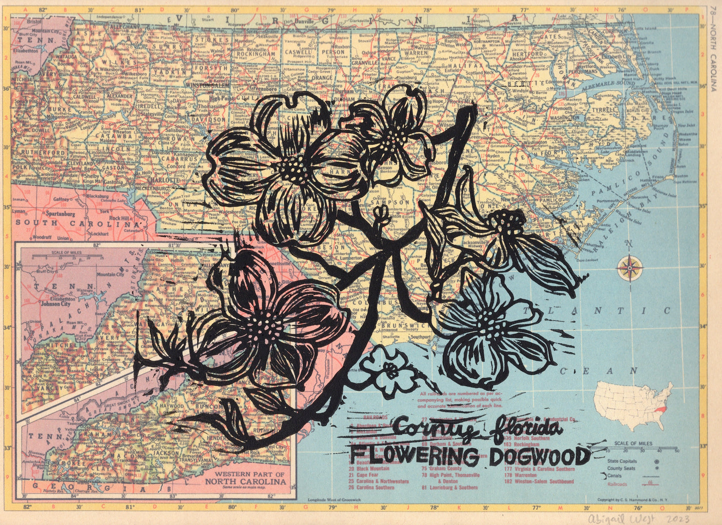 North Carolina State Flower - Flowering Dogwood Block Print on Map