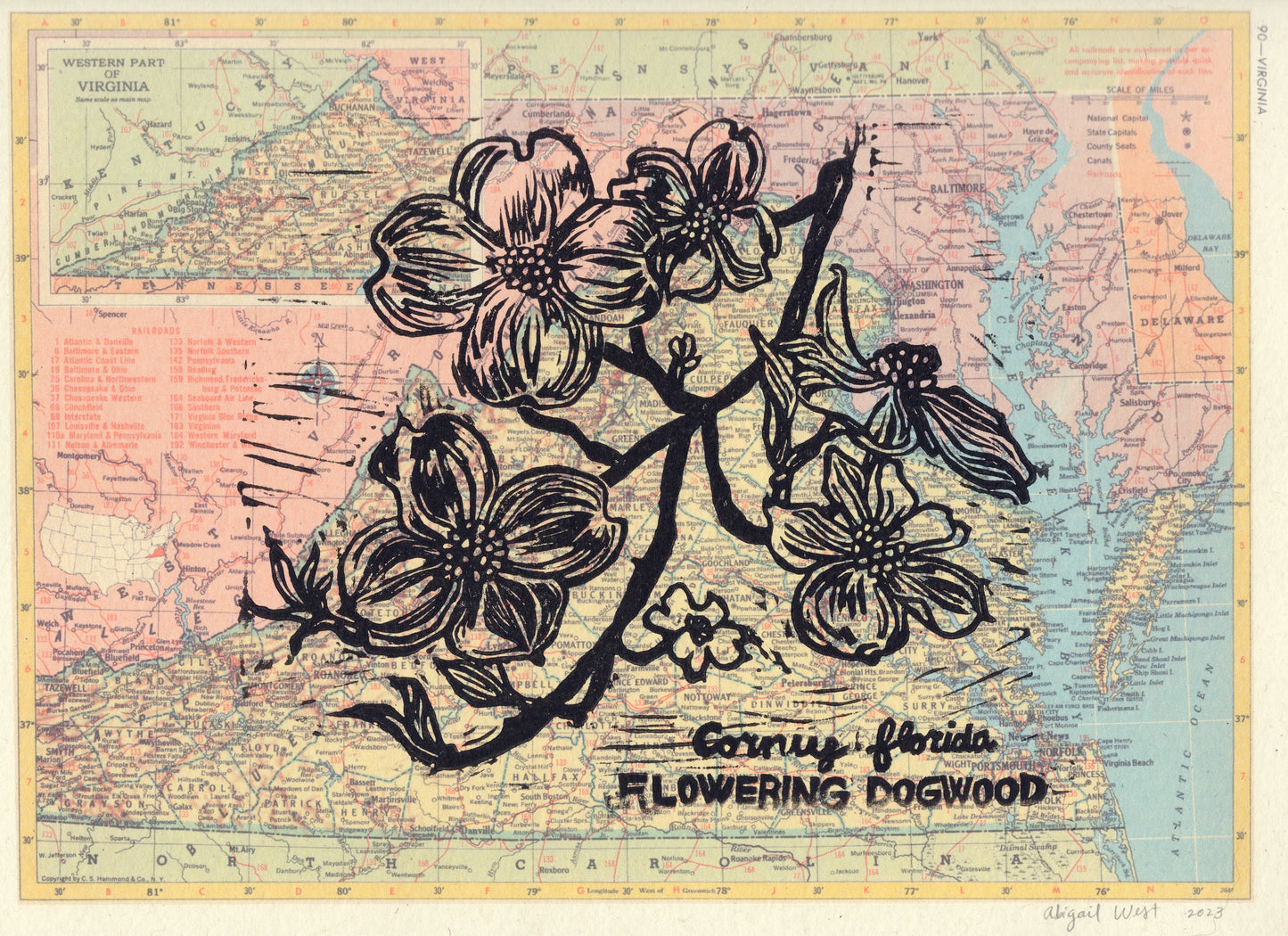 Virginia State Flower - Flowering Dogwood Linocut on Vintage Map