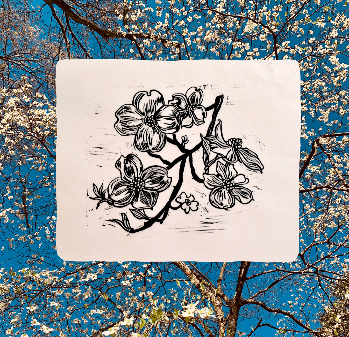 Dogwood Blooms Linocut Print