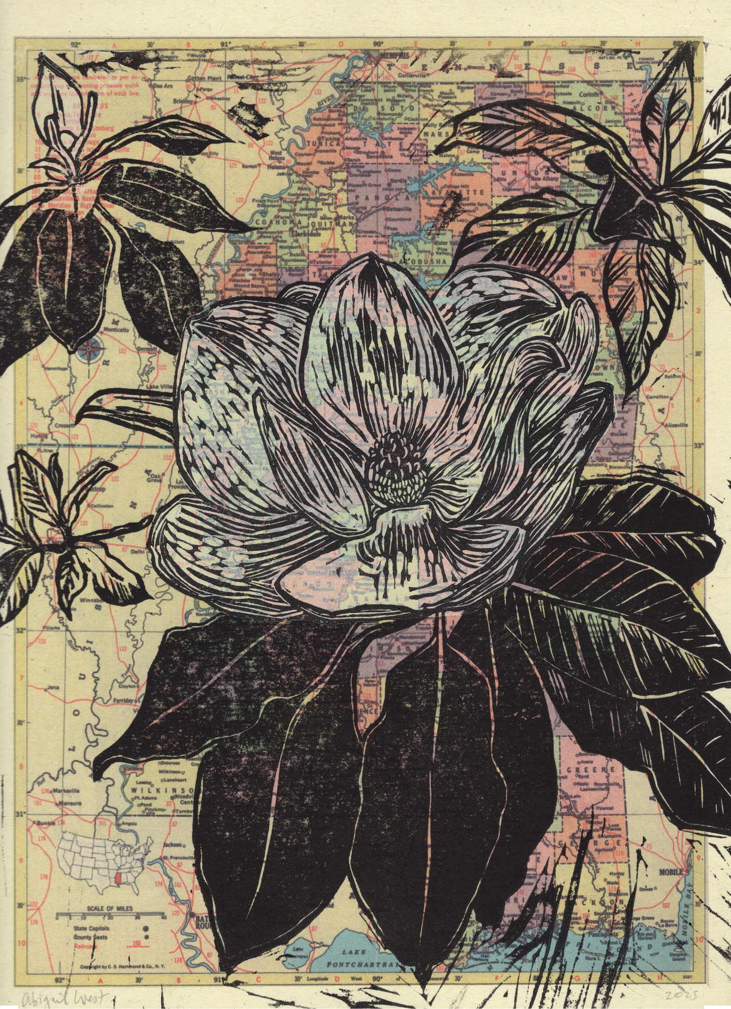 Mississippi State Flower - Southern Magnolia, on vintage map