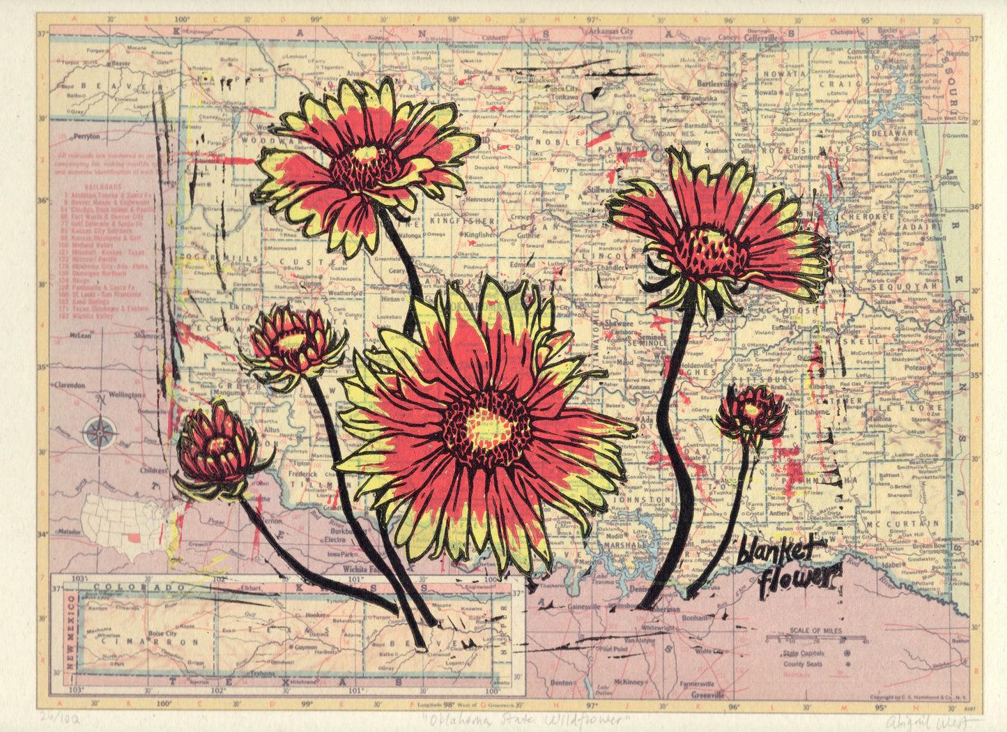 Oklahoma State Flower - Blanket Flower Linocut on Map