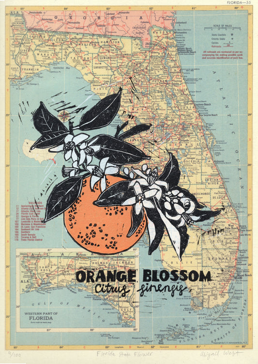 Florida State Flower: Orange Blossom linocut on vintage Florida railroad map