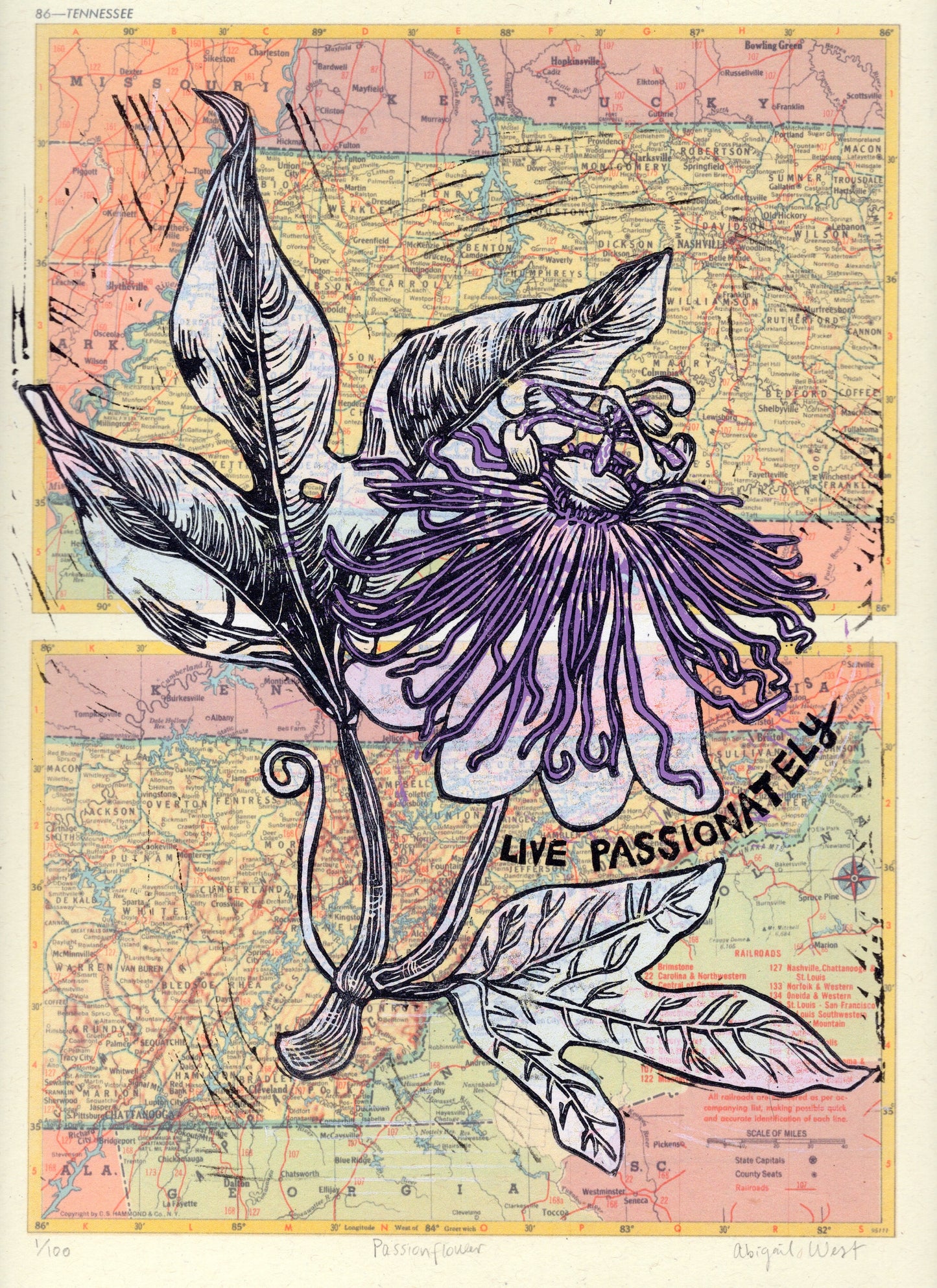 Tennessee State Wildflower - Passionflower Linocut on Vintage Map