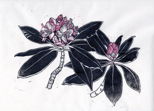 Pink Rhododendron Block Print