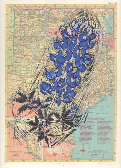Texas State Flower - Bluebonnet, on vintage map